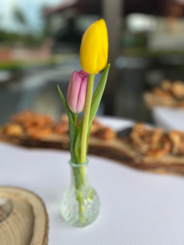 2024 Saisoneröffnung